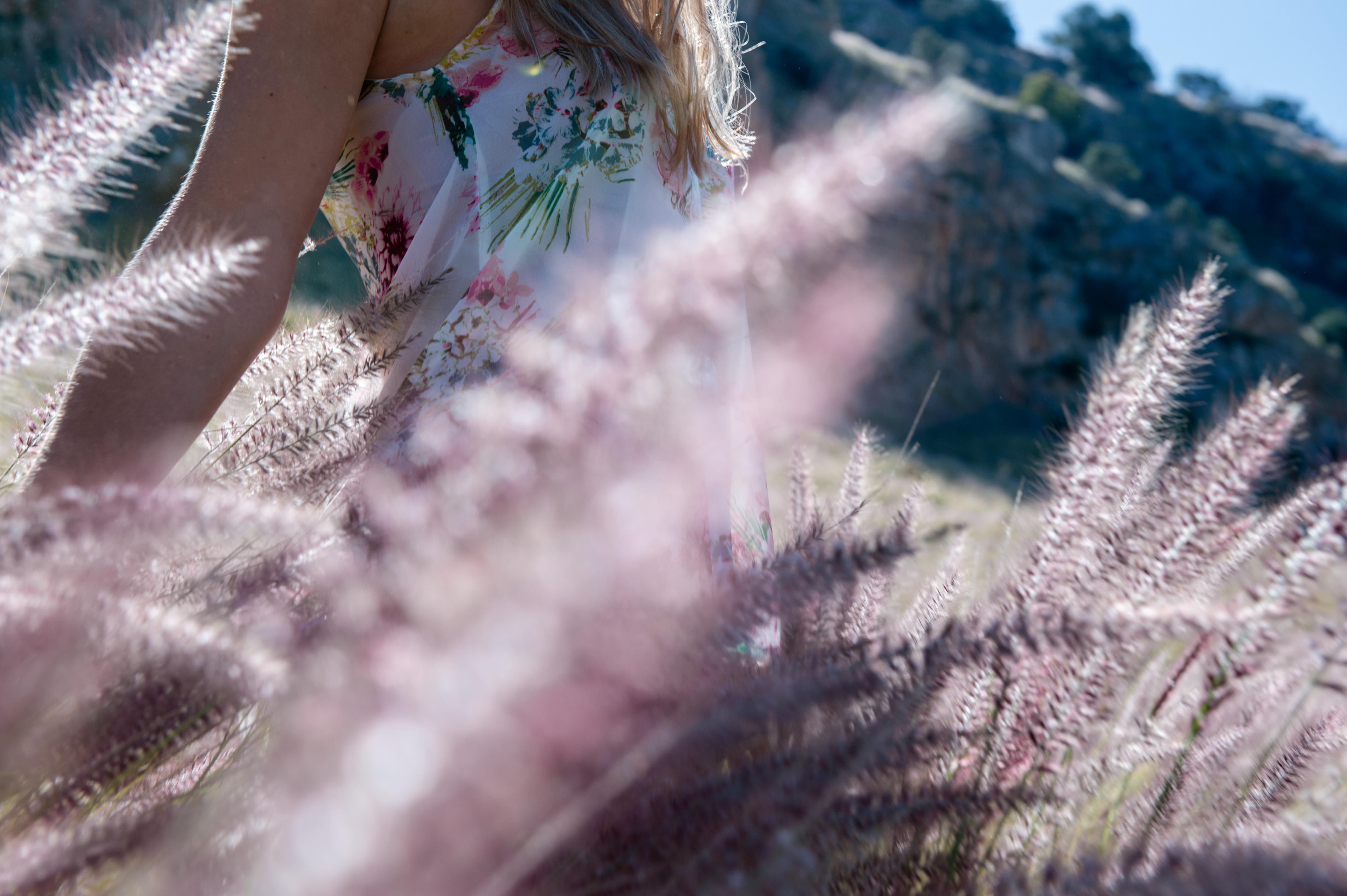 pink-field-mood